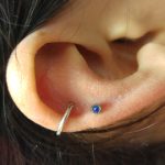 kep_ful_beloves_porc_ref_11