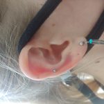 kep_ful_beloves_porc_ref_4