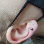 kep_ful_beloves_ref_36